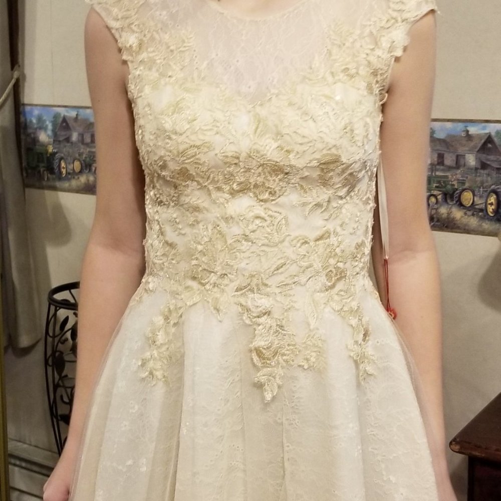 Cream Lace Dress